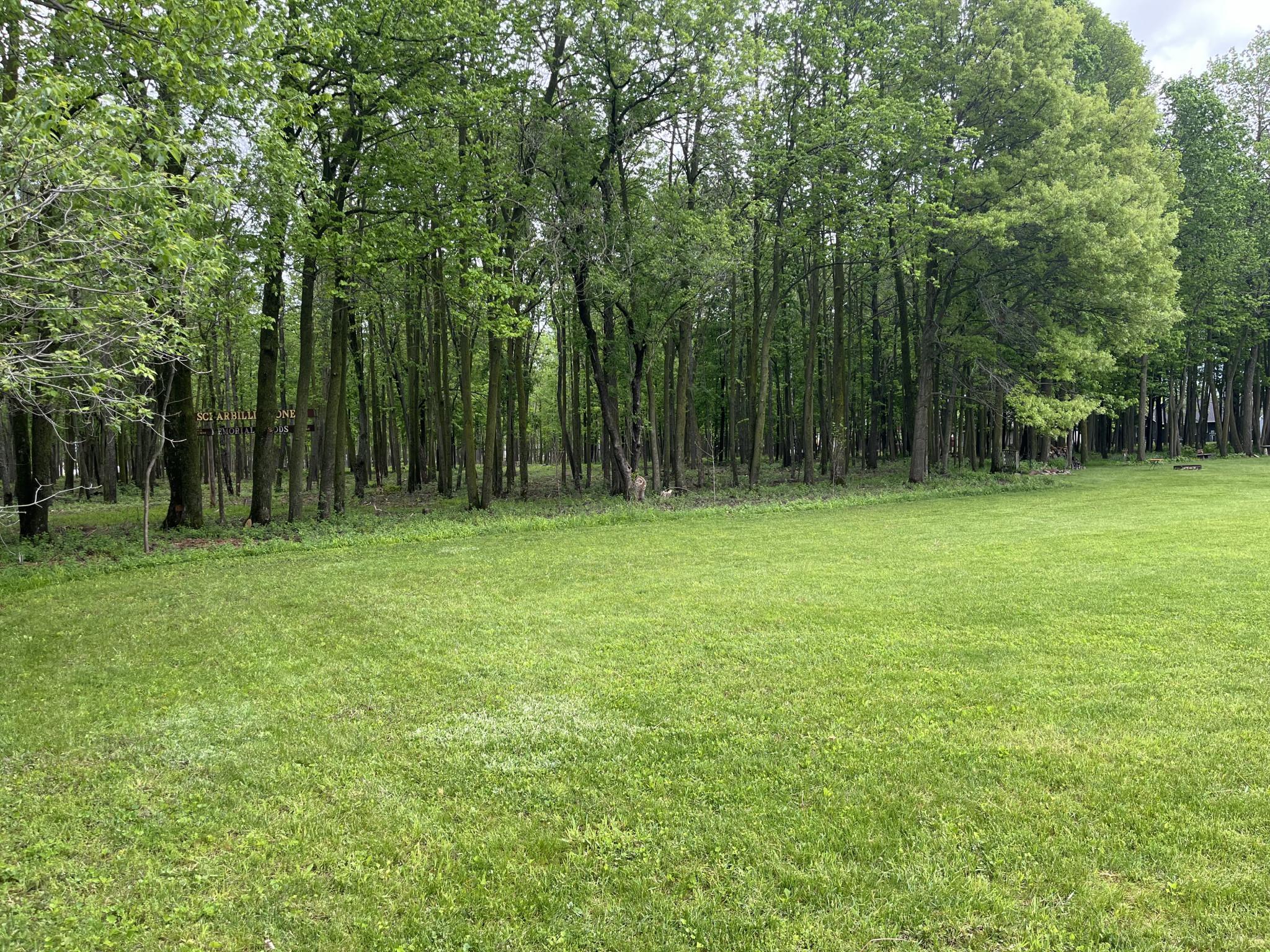 917 Scharbillig Court Property Photo 13