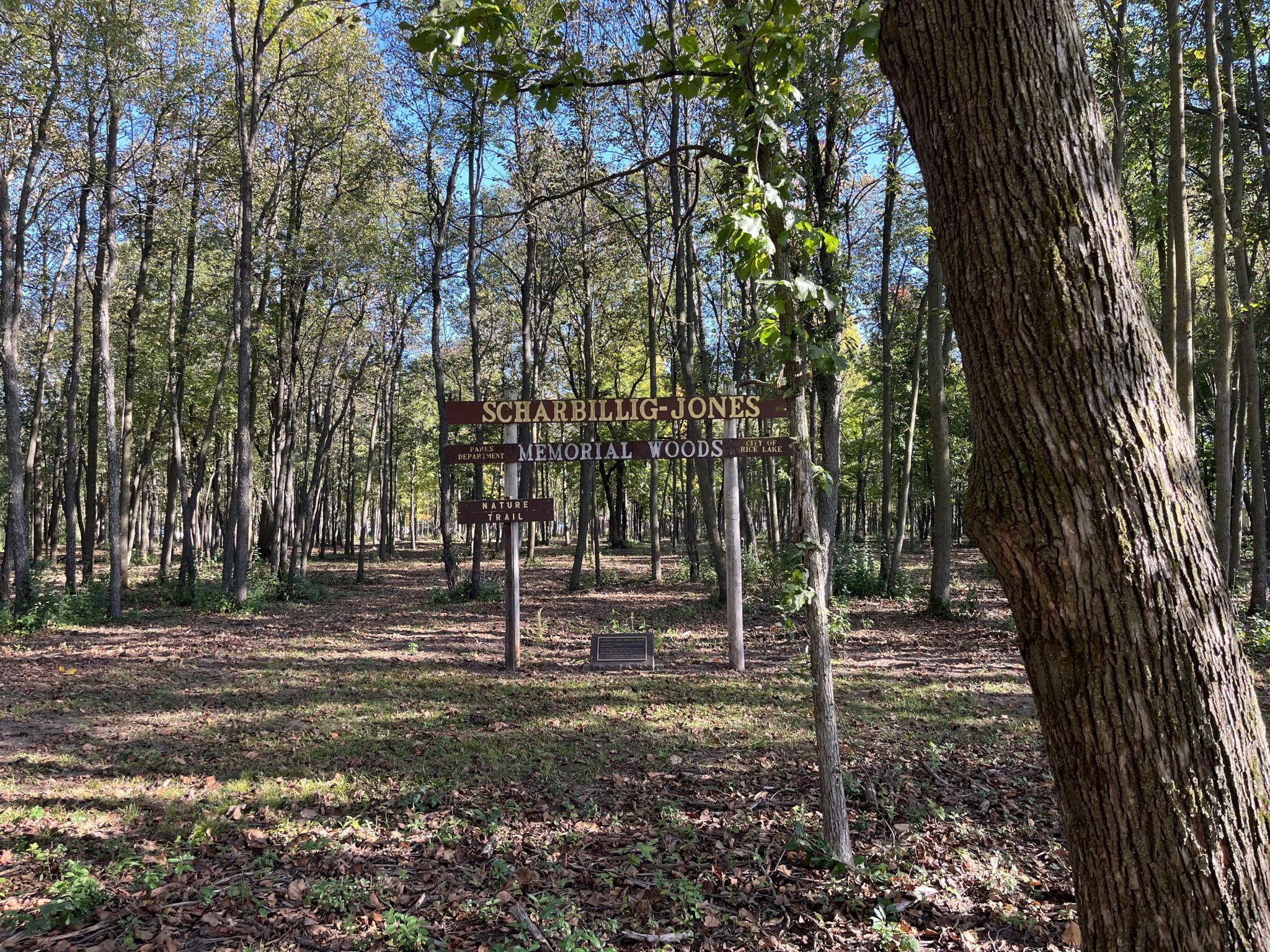 917 Scharbillig Court Property Photo 15