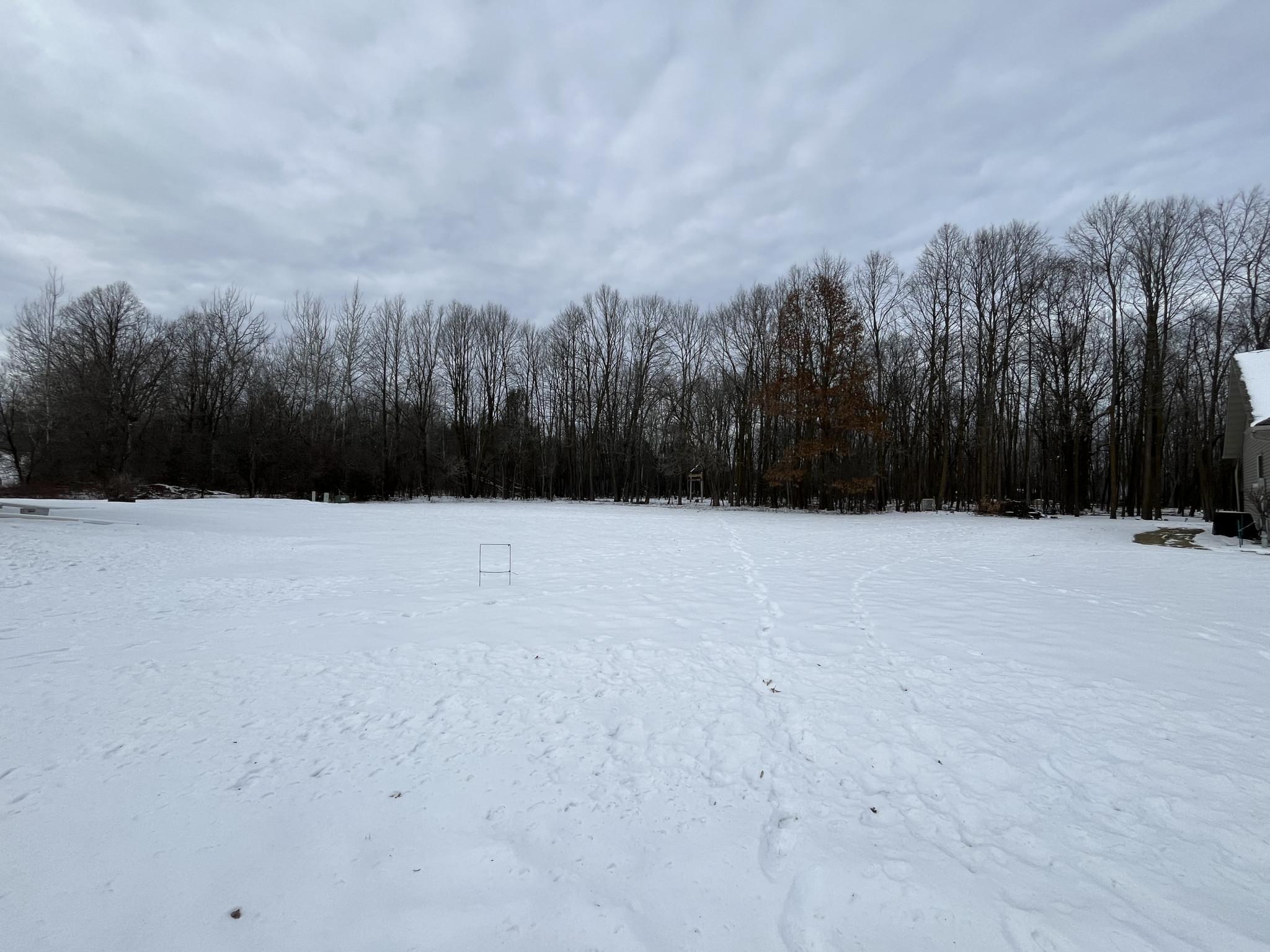 917 Scharbillig Court Property Photo 16