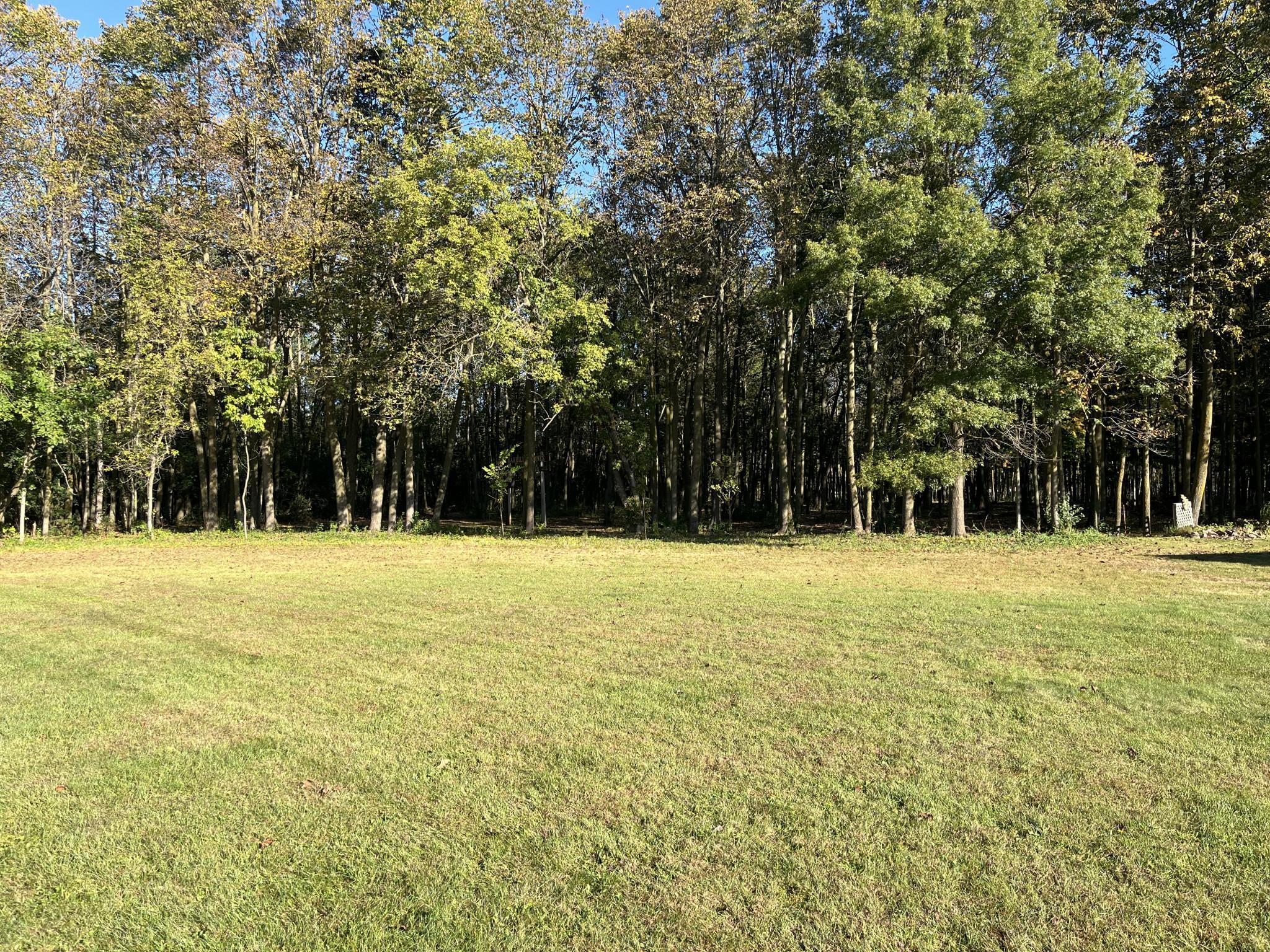917 Scharbillig Court Property Photo 17