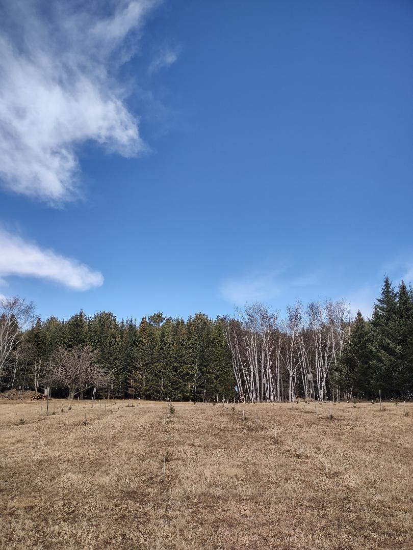 789 29 1/2 Avenue Property Photo 16