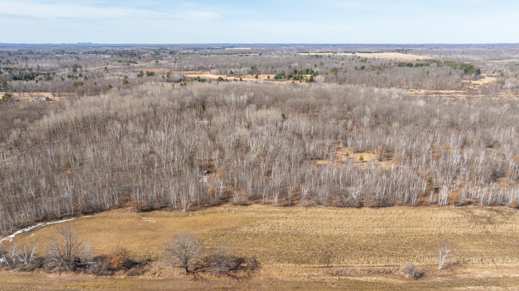 5897 State Highway 80 Property Photo 7