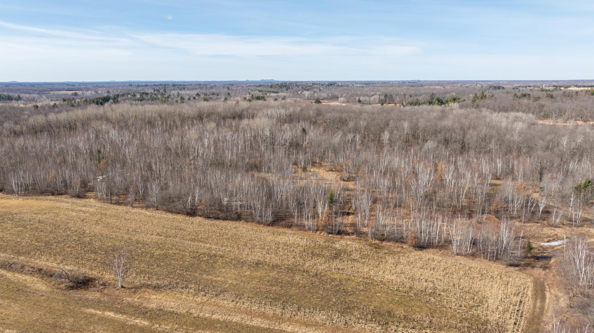 5897 State Highway 80 Property Photo 9