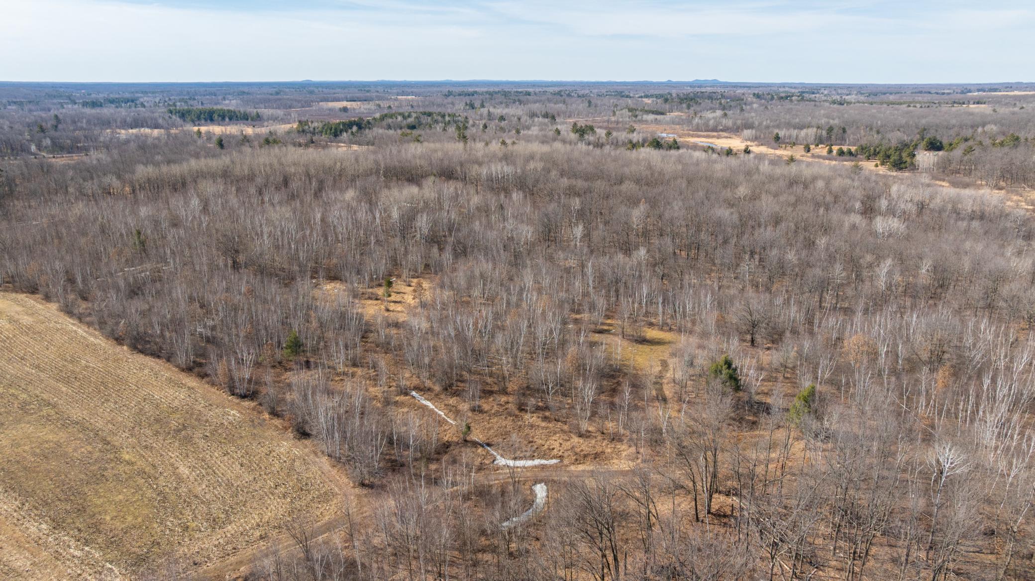 5897 State Highway 80 Property Photo 10