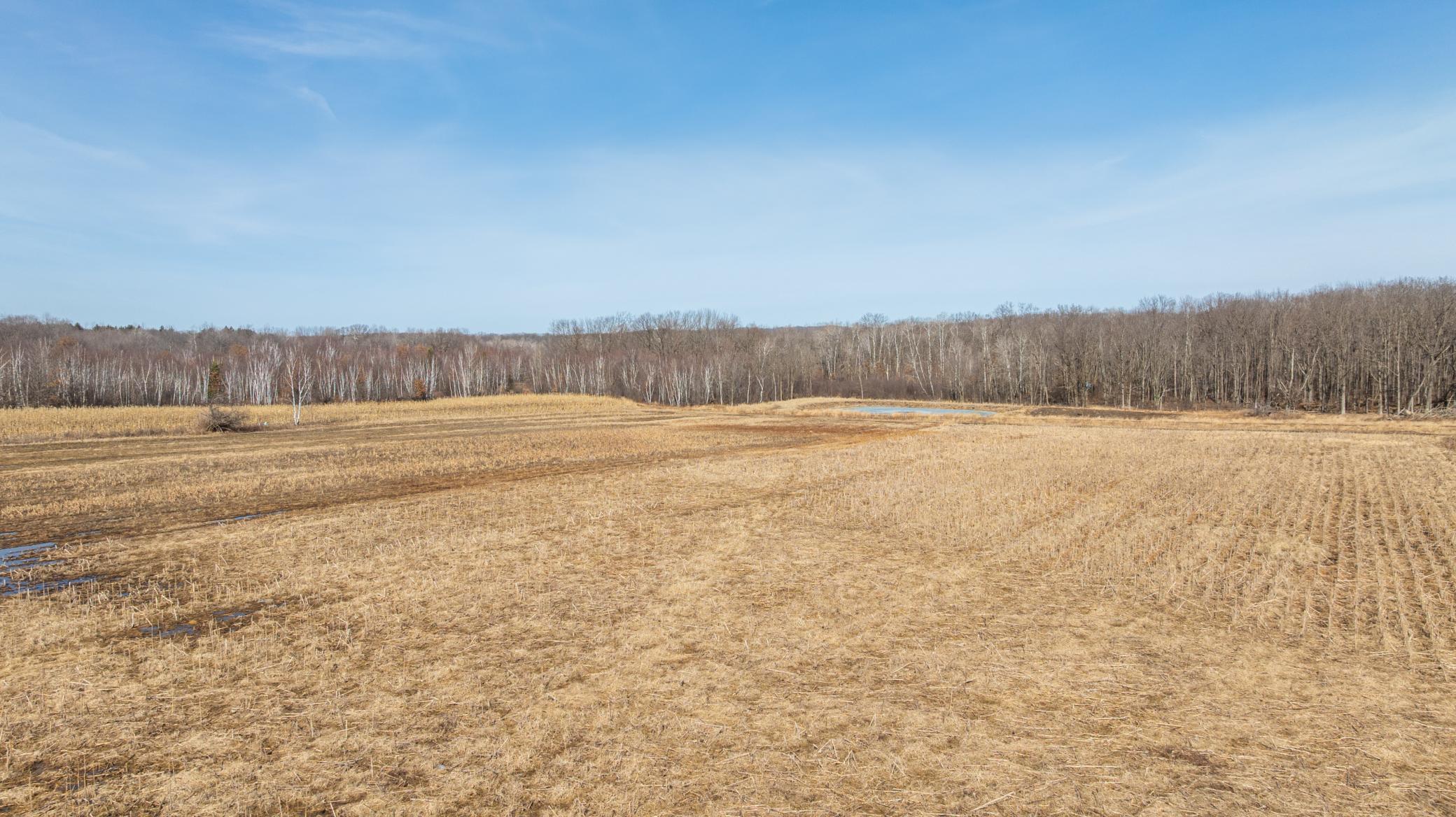 5897 State Highway 80 Property Photo 13