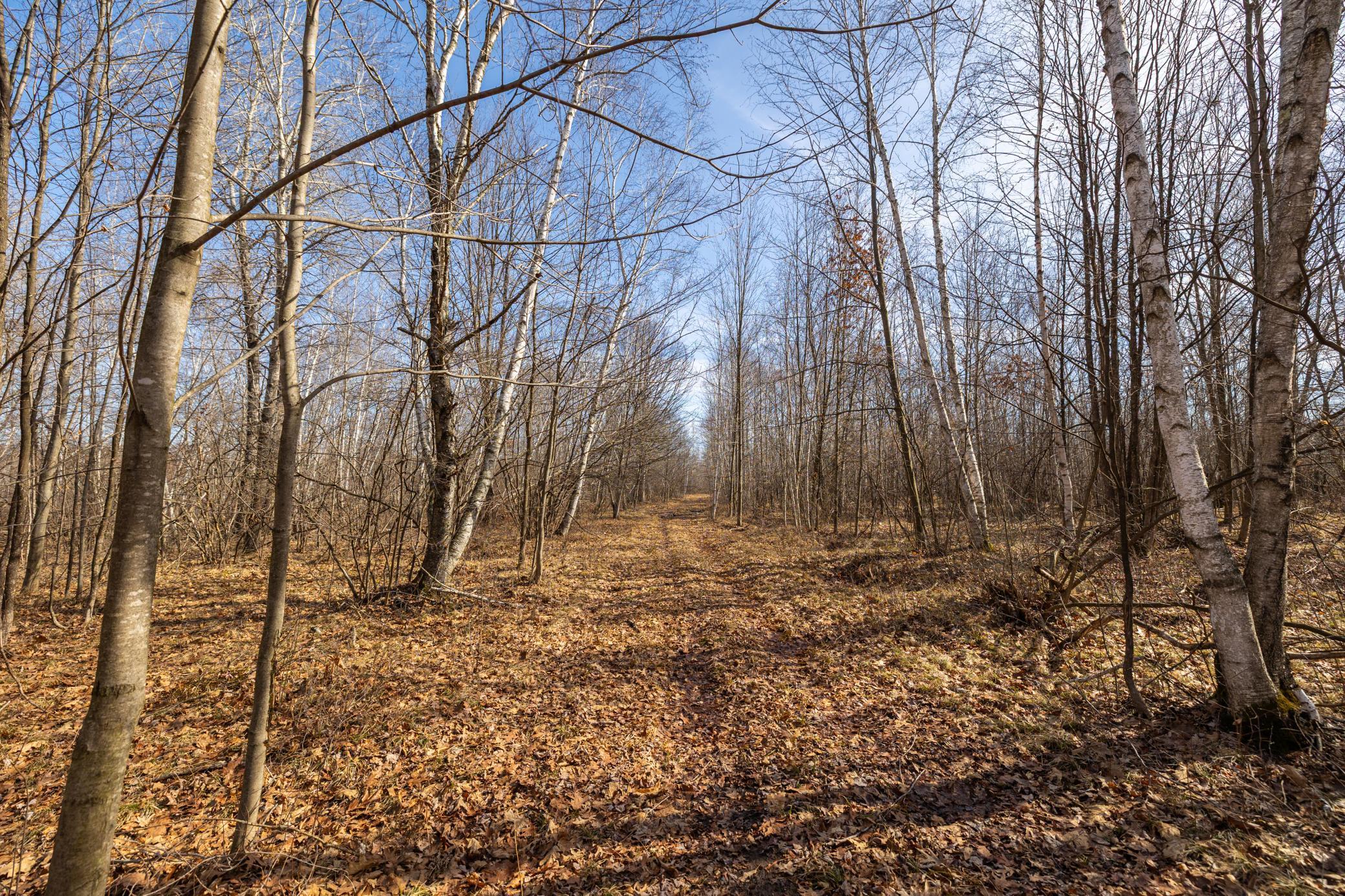 5897 State Highway 80 Property Photo 21