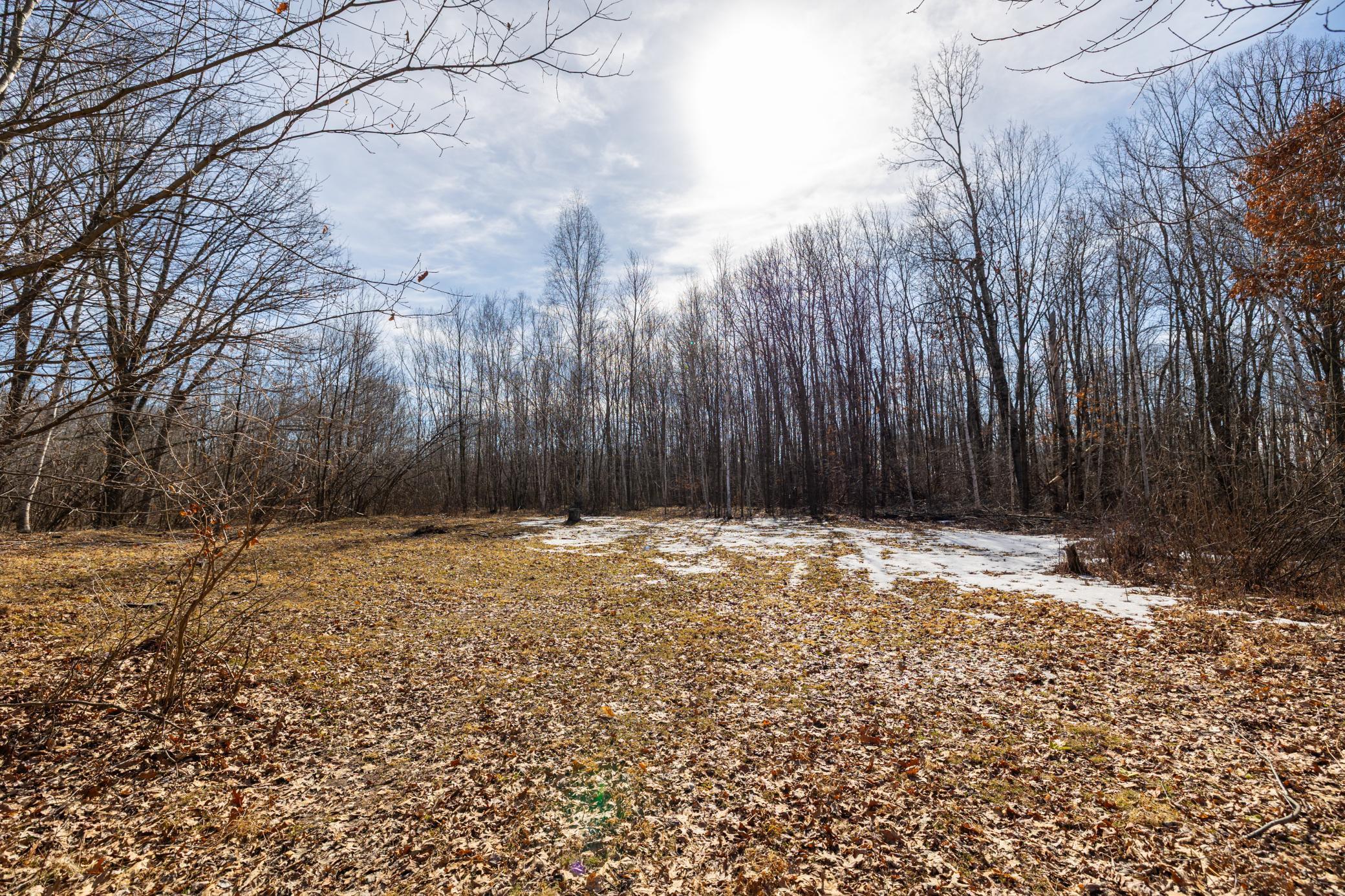 5897 State Highway 80 Property Photo 24