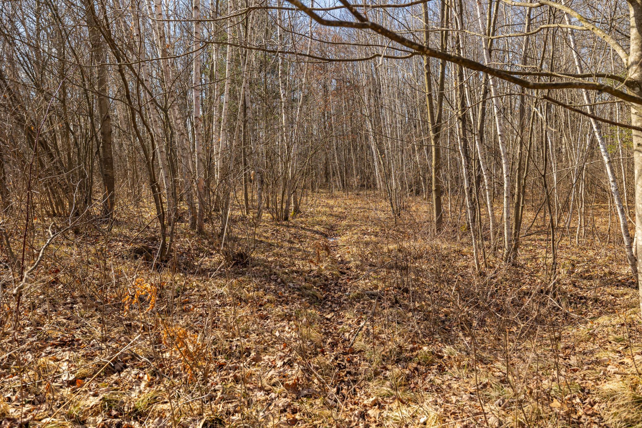 5897 State Highway 80 Property Photo 25