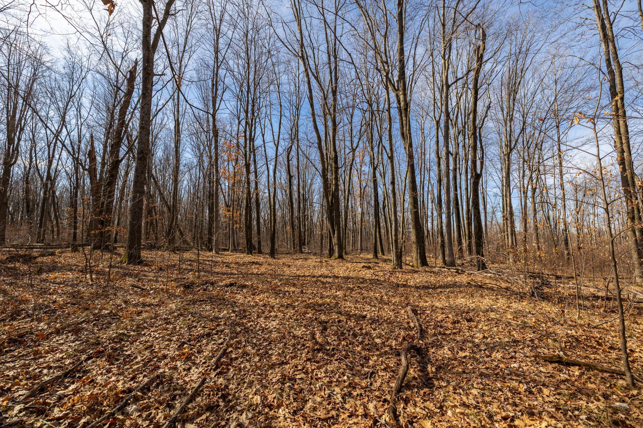 5897 State Highway 80 Property Photo 26