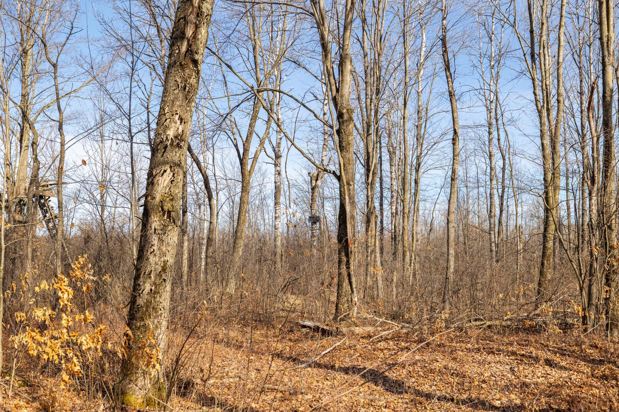 5897 State Highway 80 Property Photo 29