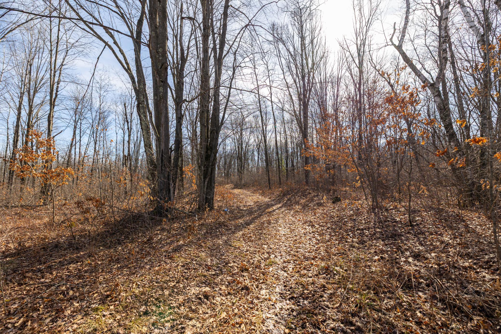 5897 State Highway 80 Property Photo 30