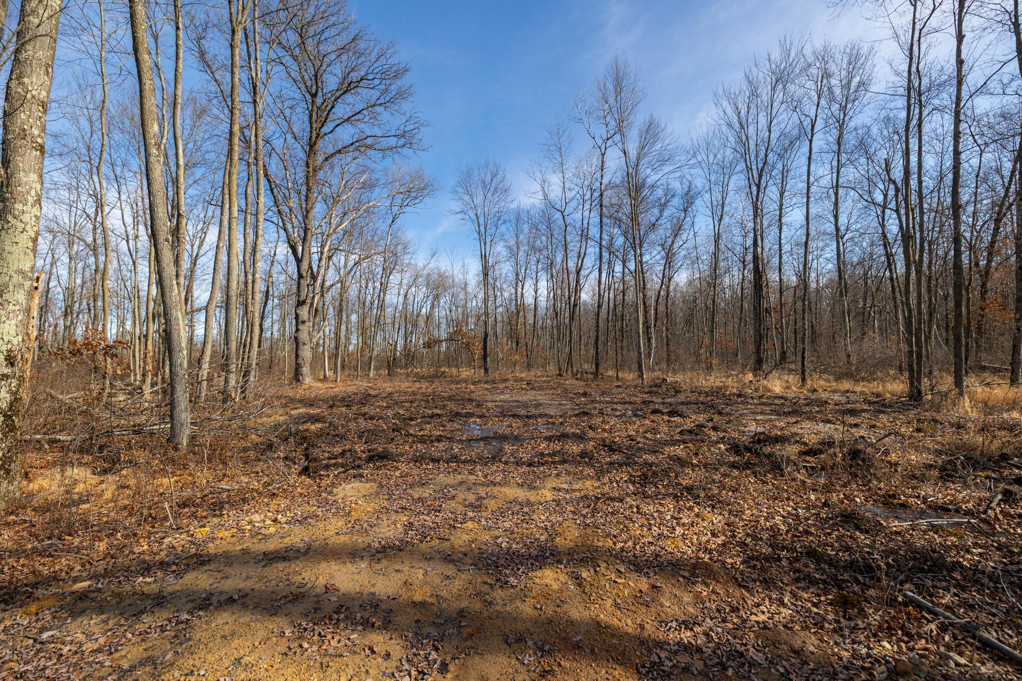 5897 State Highway 80 Property Photo 33