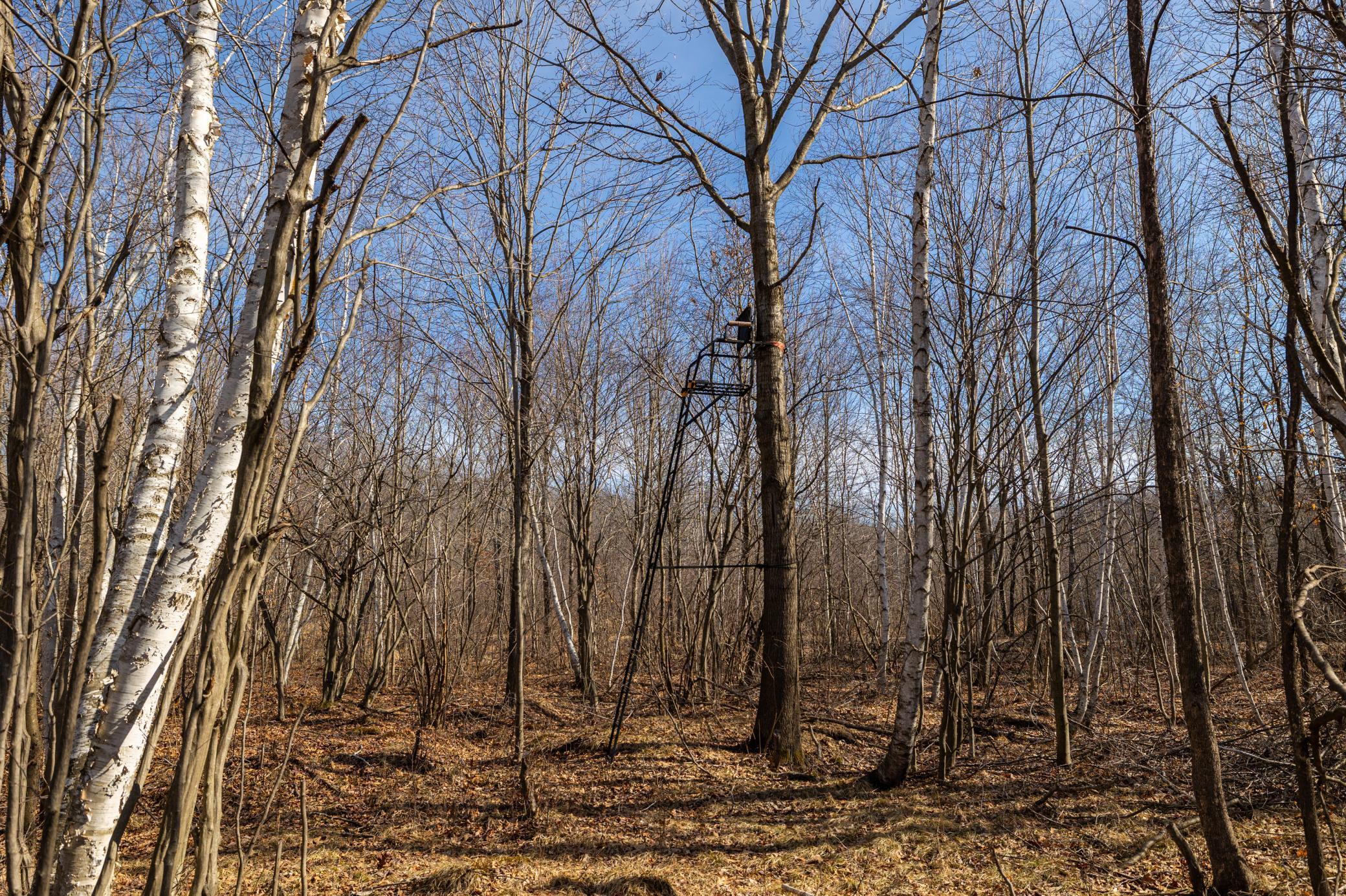 5897 State Highway 80 Property Photo 34