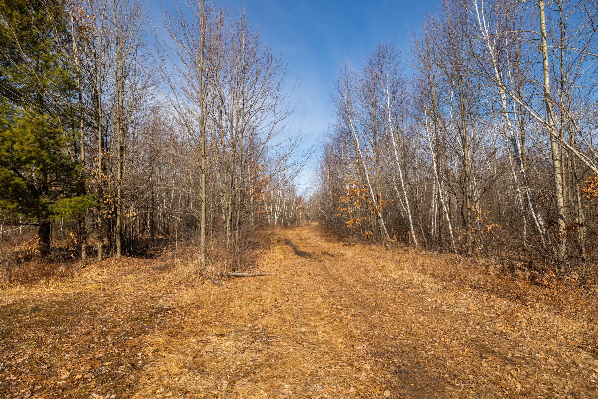 5897 State Highway 80 Property Photo 35