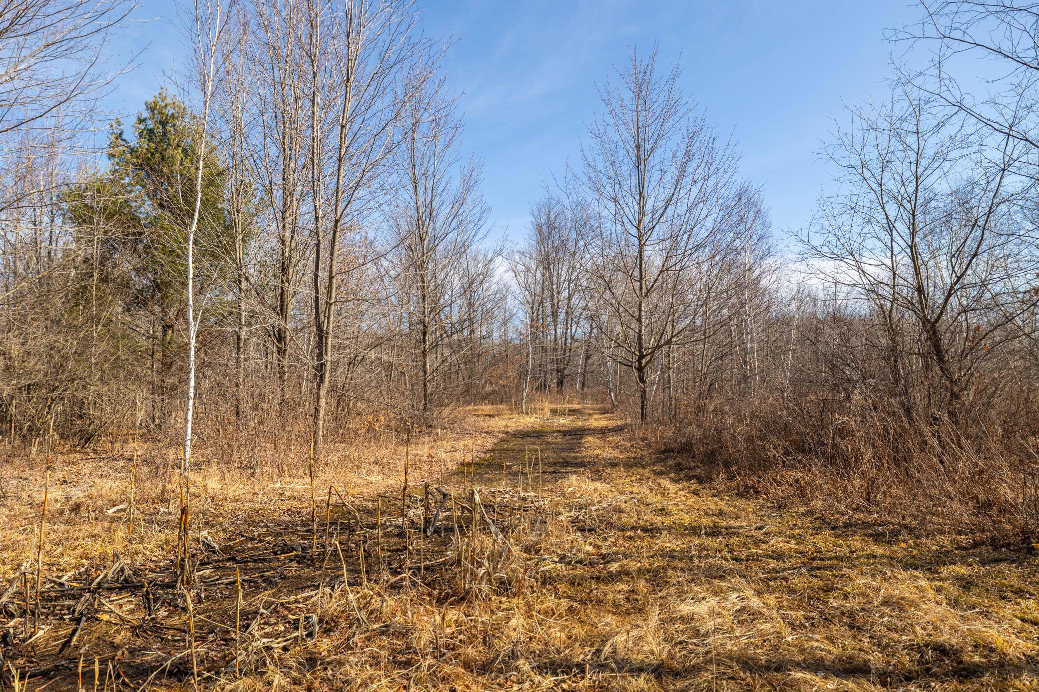 5897 State Highway 80 Property Photo 38