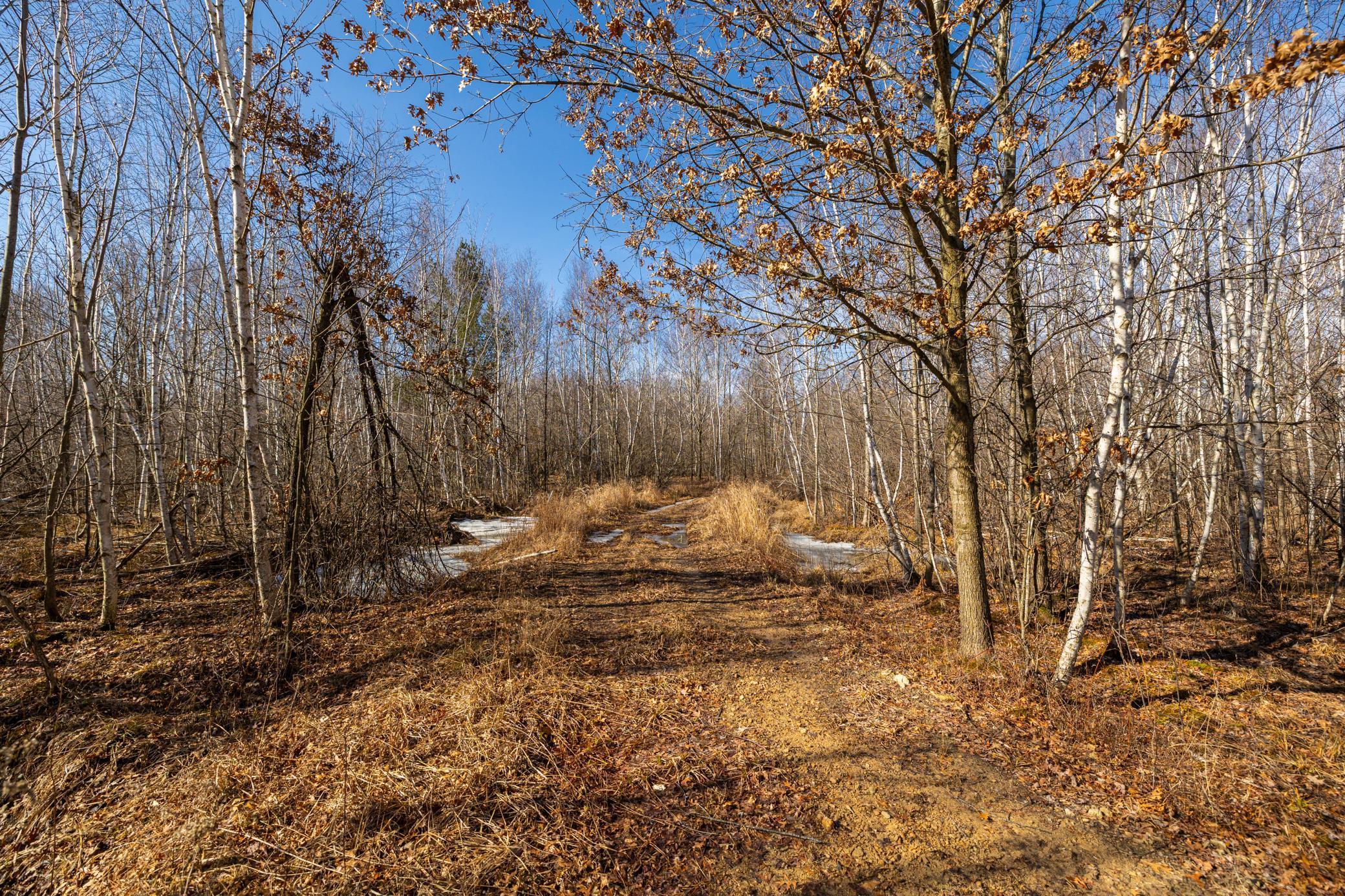 5897 State Highway 80 Property Photo 48