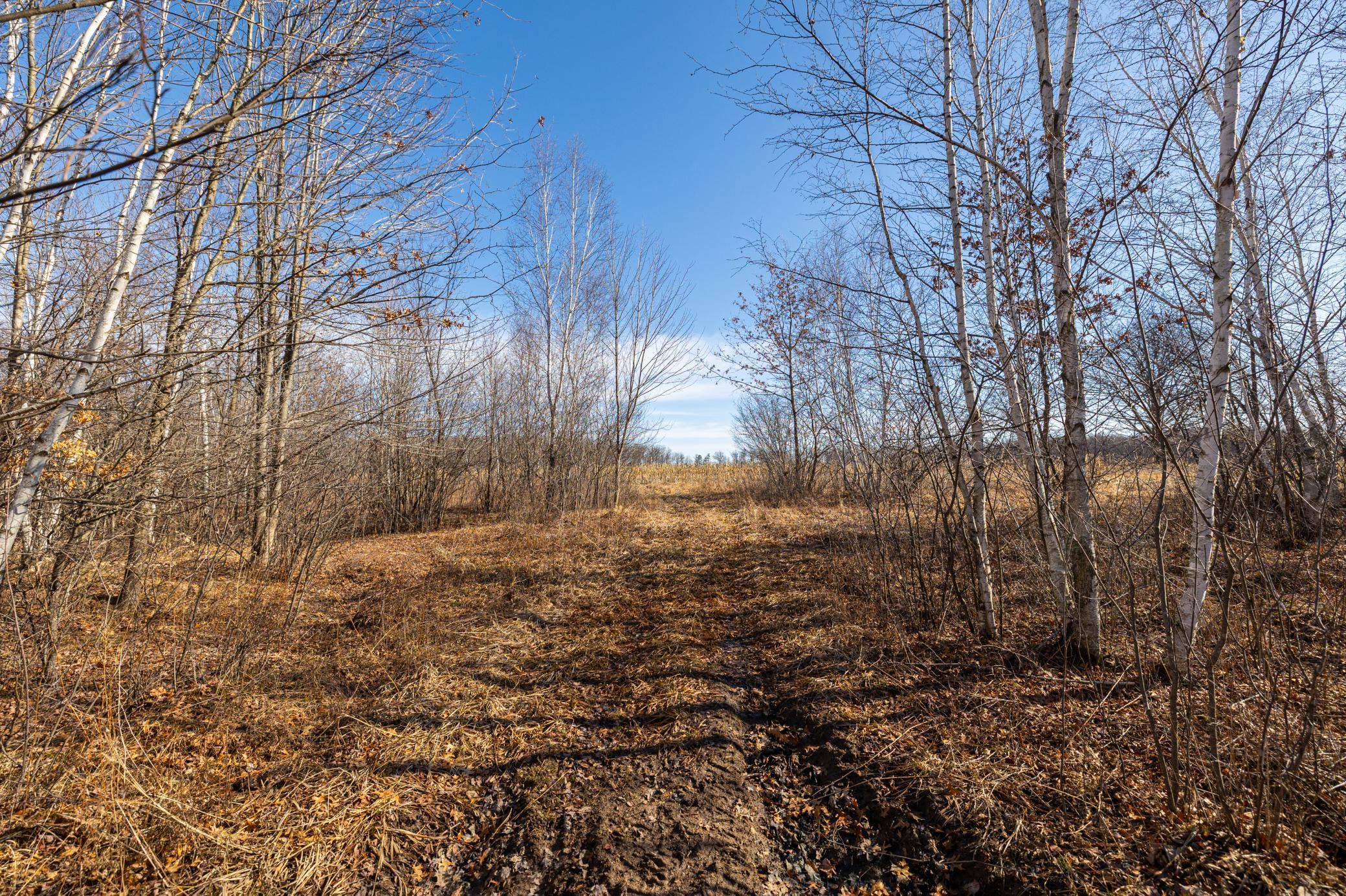 5897 State Highway 80 Property Photo 50