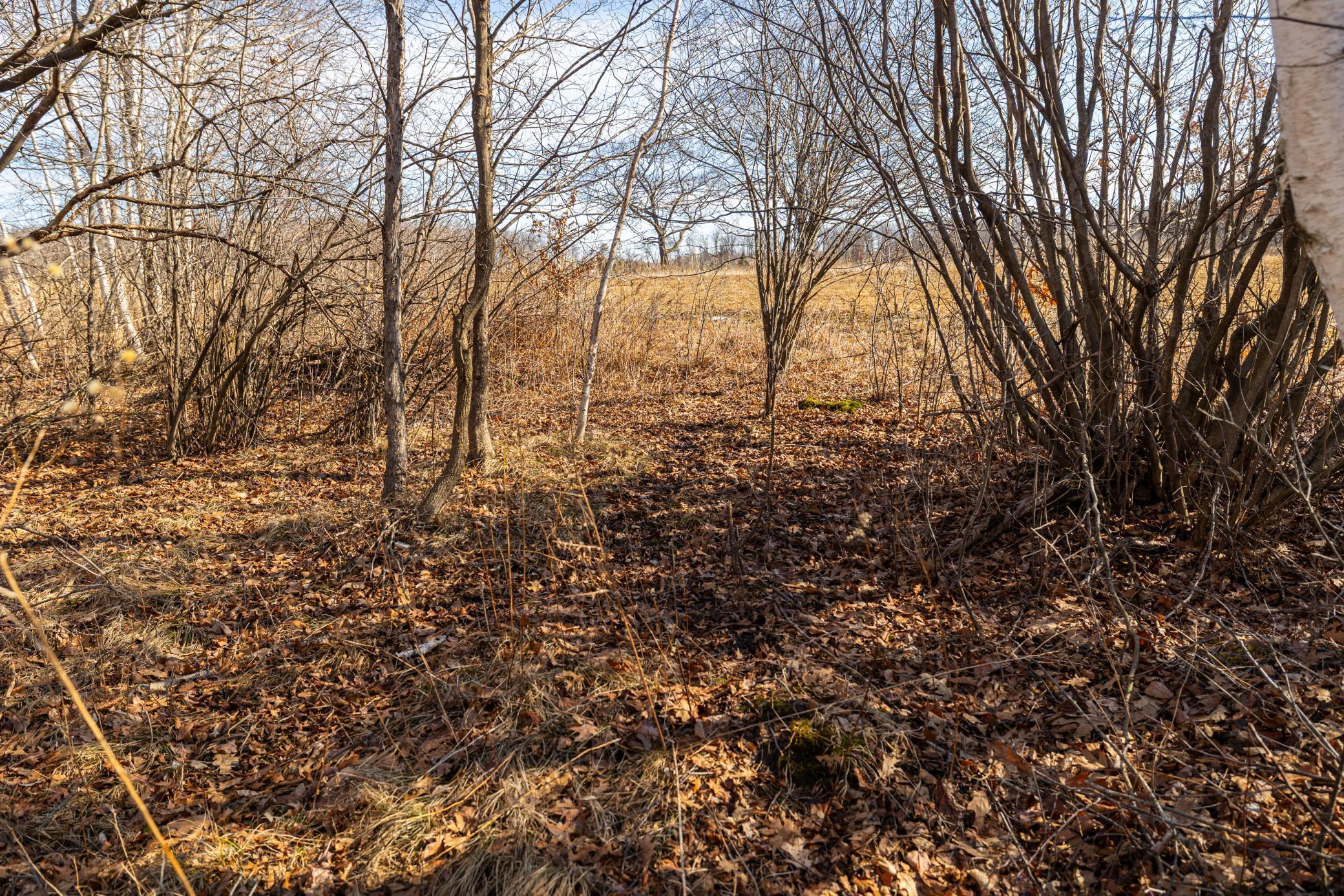 5897 State Highway 80 Property Photo 52