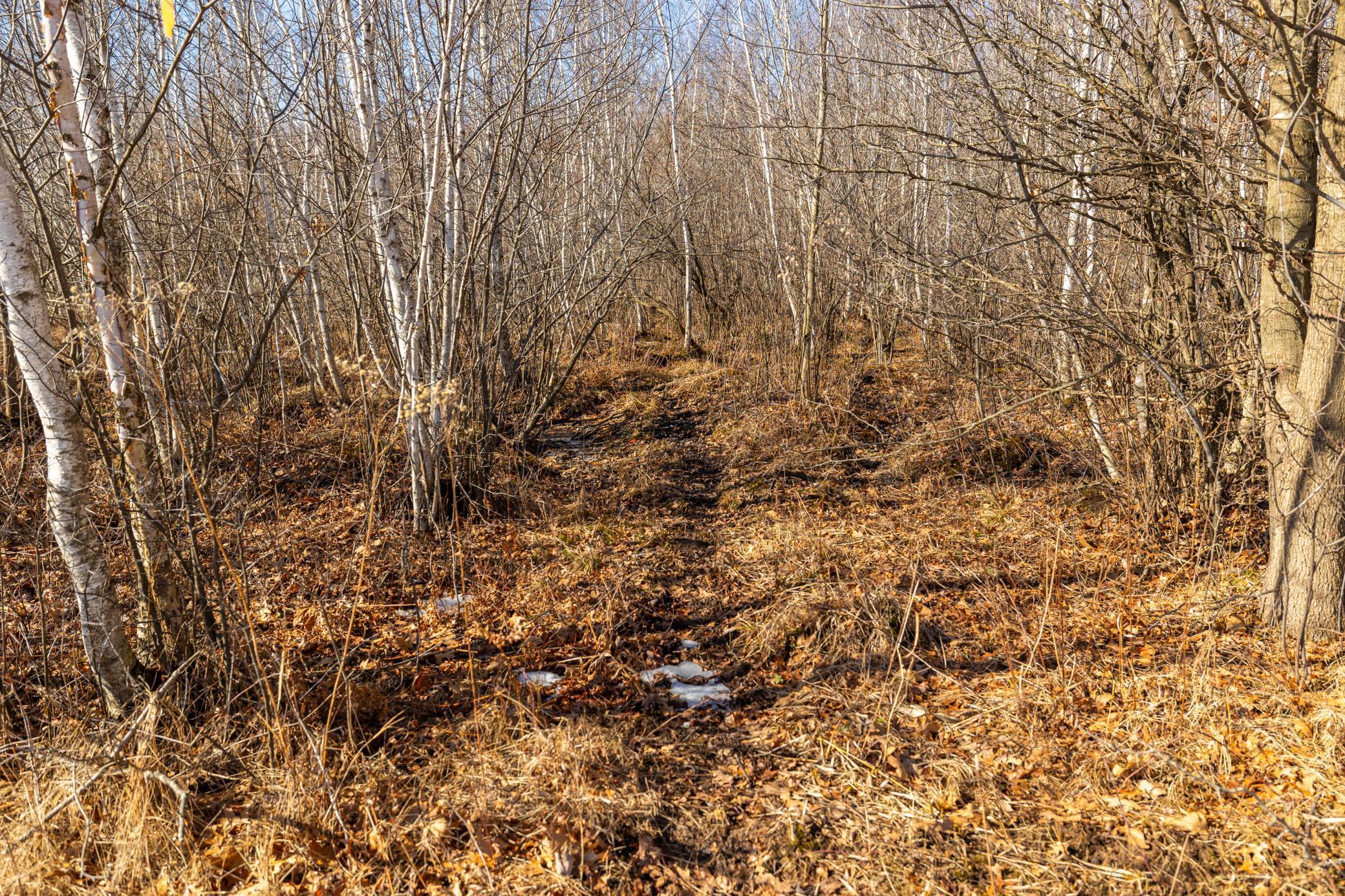 5897 State Highway 80 Property Photo 53