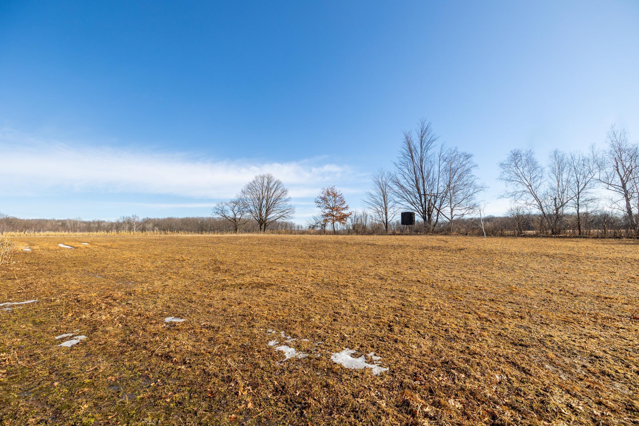 5897 State Highway 80 Property Photo 54