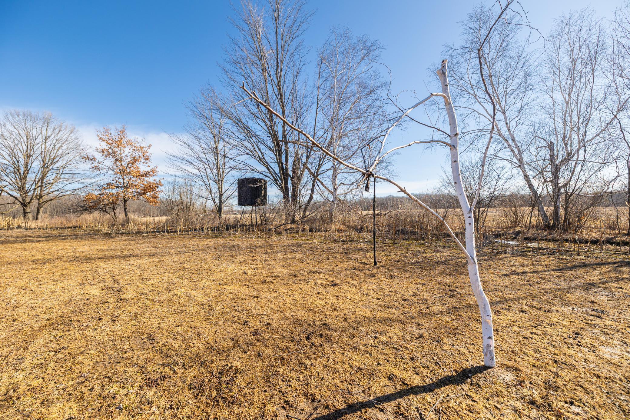 5897 State Highway 80 Property Photo 56