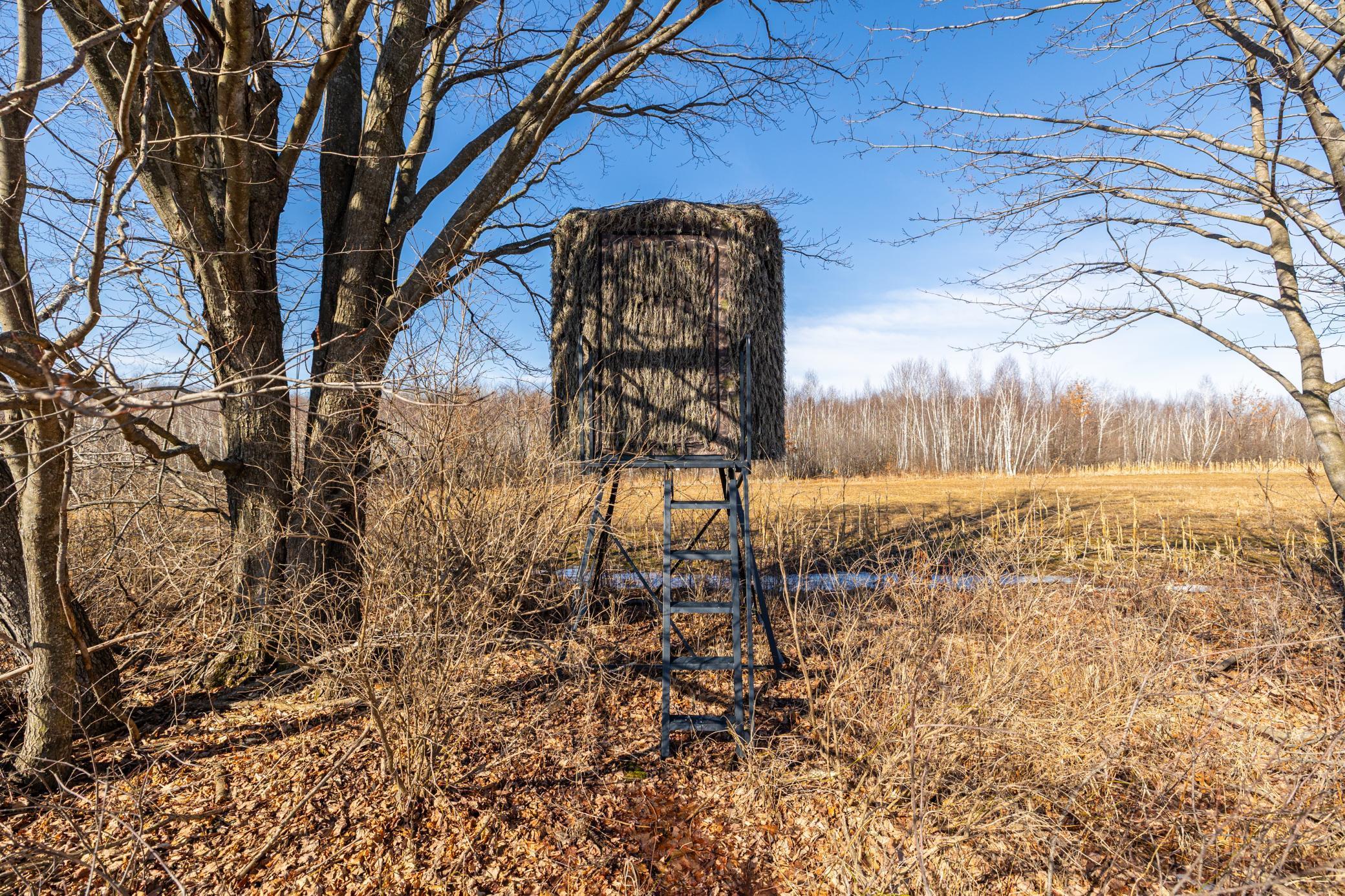 5897 State Highway 80 Property Photo 58