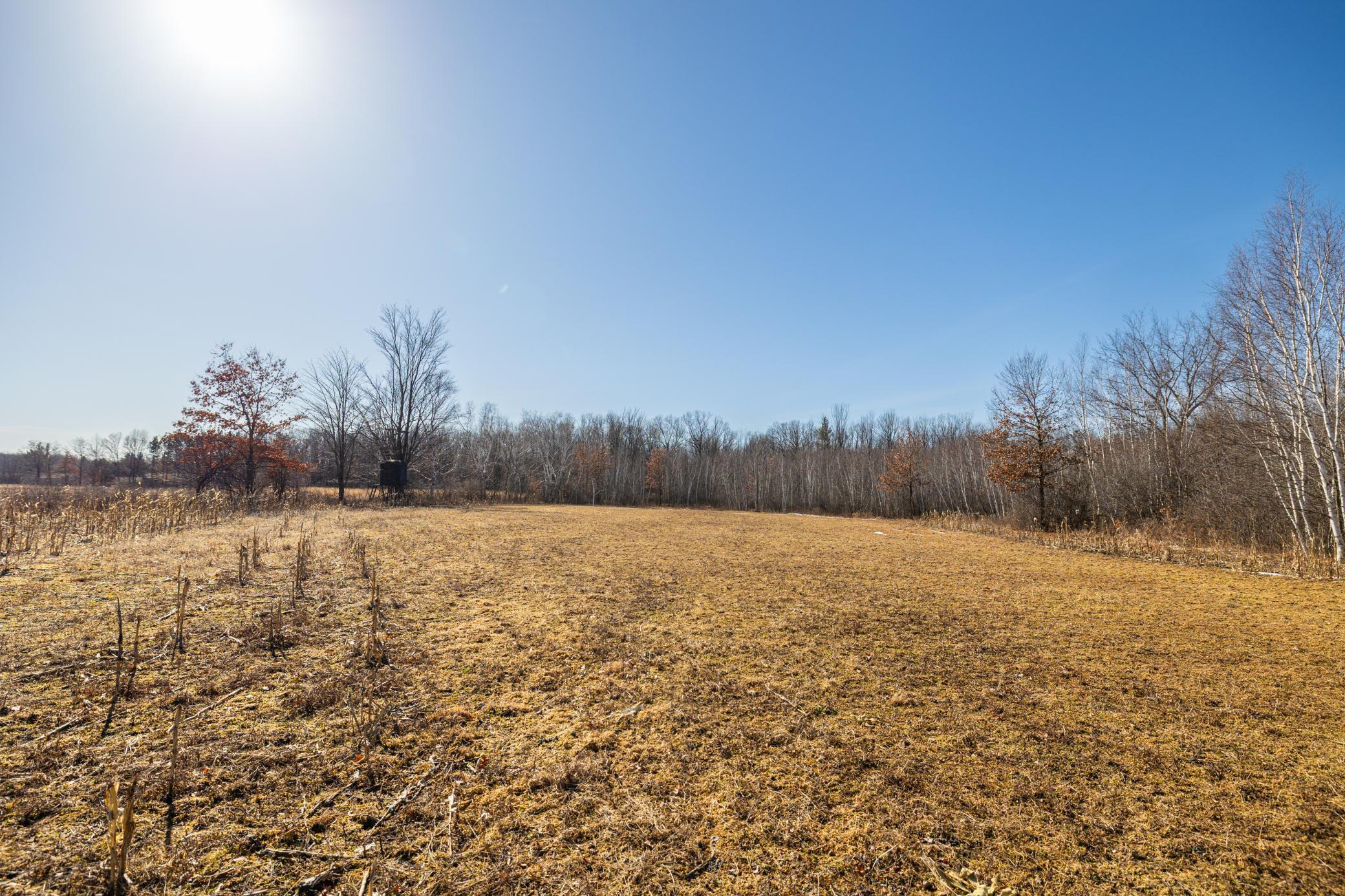 5897 State Highway 80 Property Photo 61