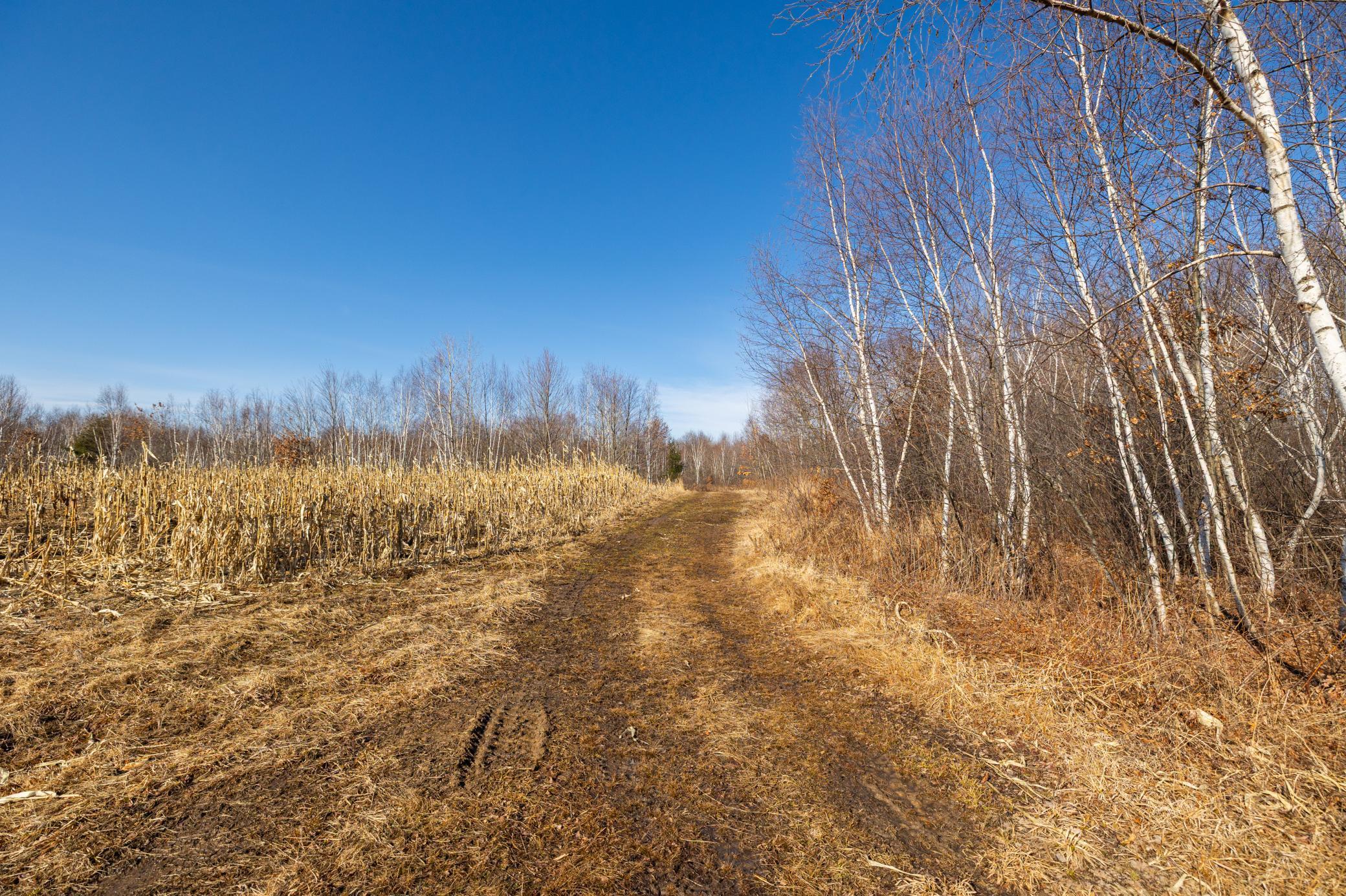 5897 State Highway 80 Property Photo 63