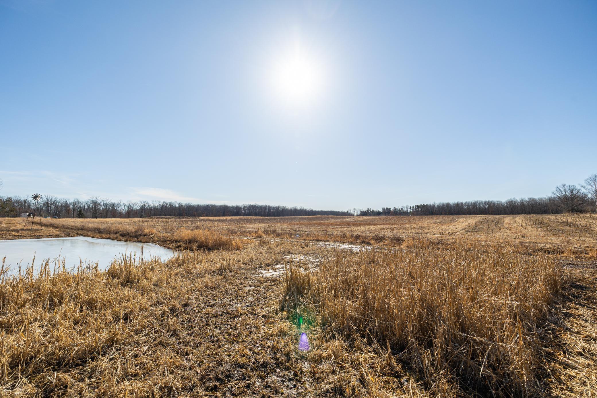 5897 State Highway 80 Property Photo 65