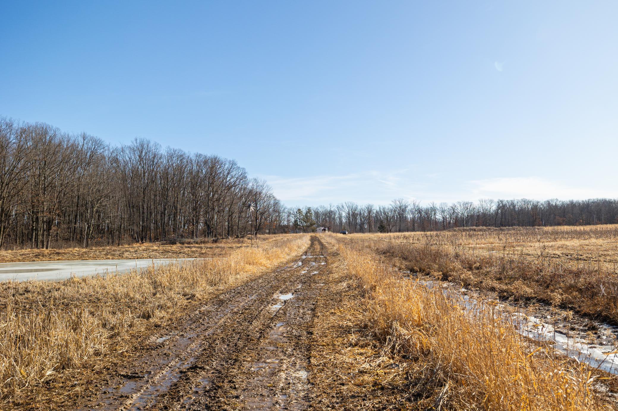 5897 State Highway 80 Property Photo 66
