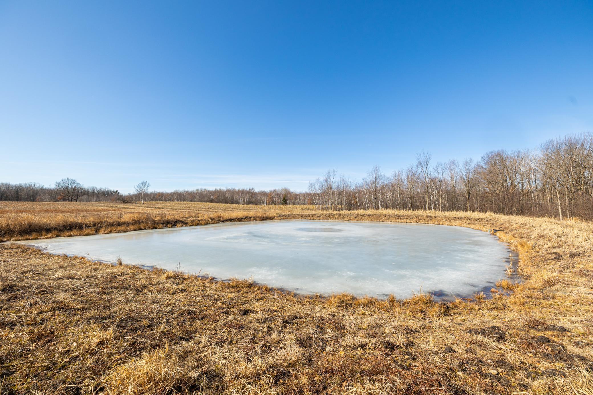 5897 State Highway 80 Property Photo 67