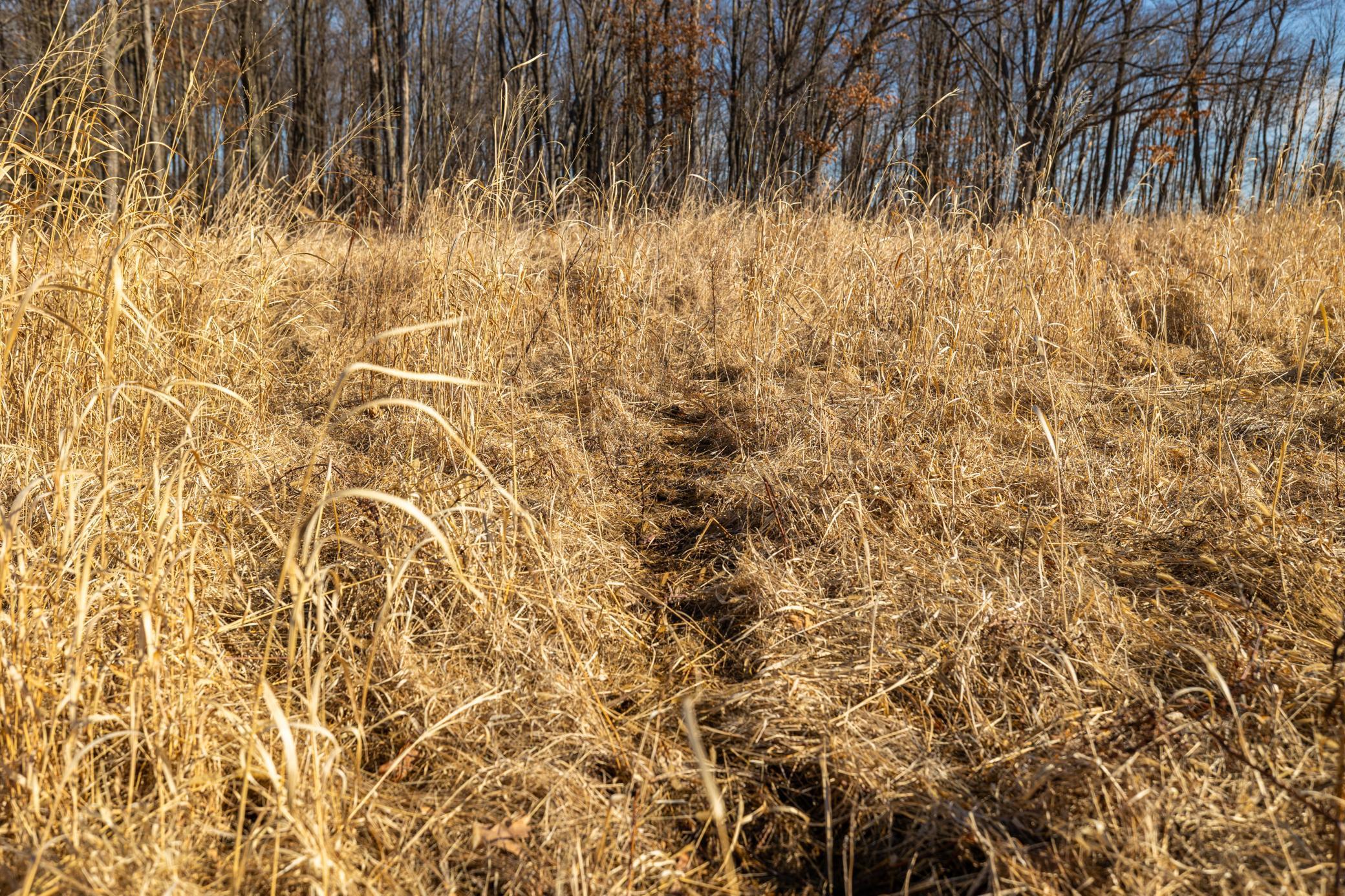 5897 State Highway 80 Property Photo 69