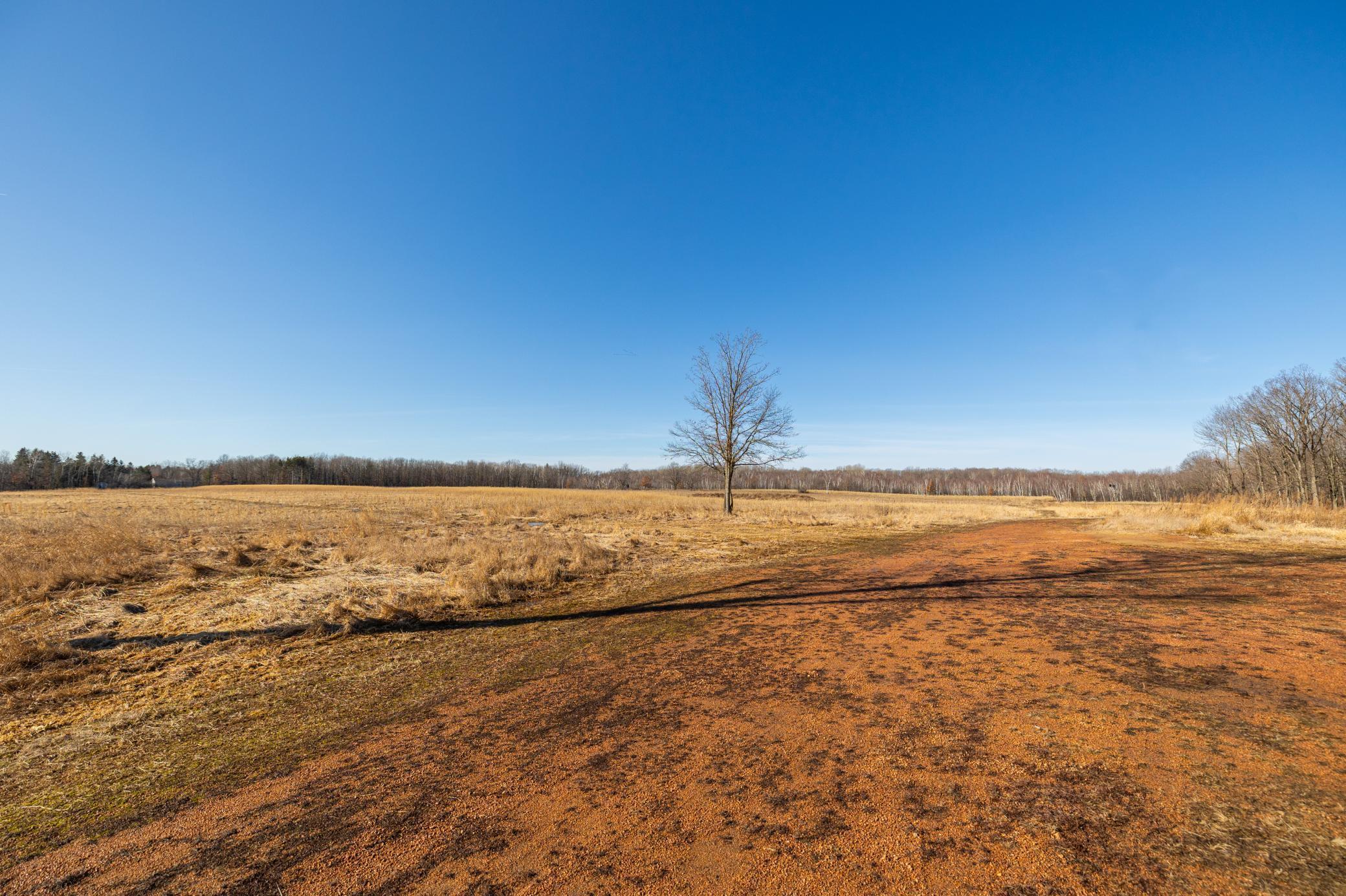 5897 State Highway 80 Property Photo 70