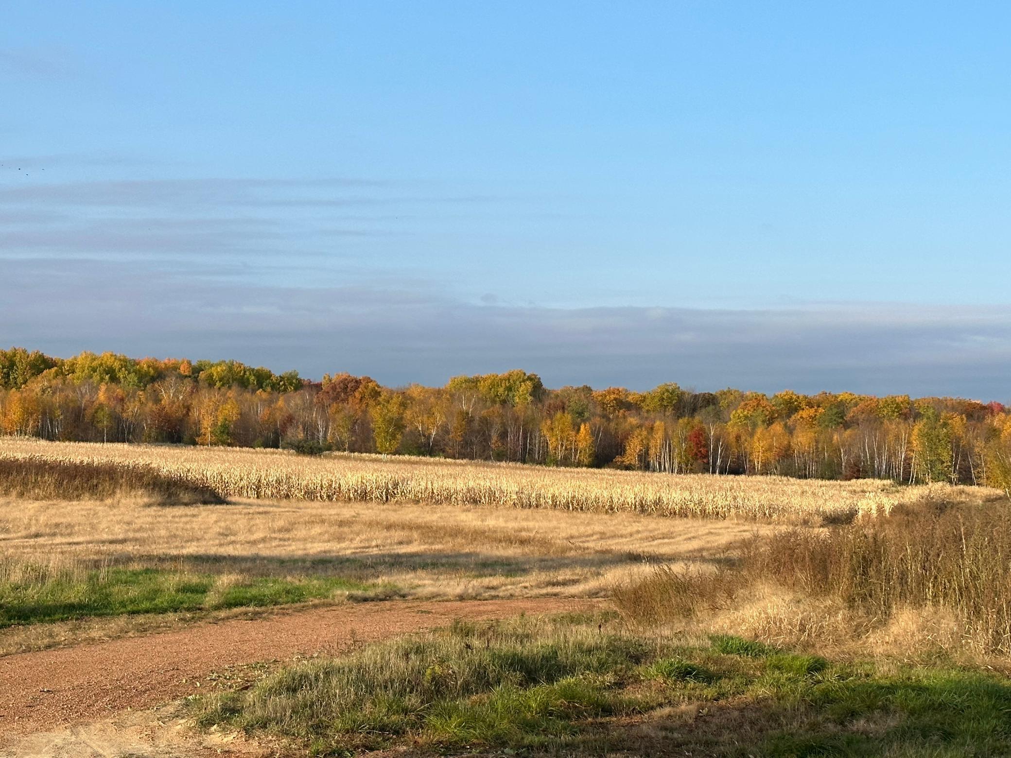 5897 State Highway 80 Property Photo 92