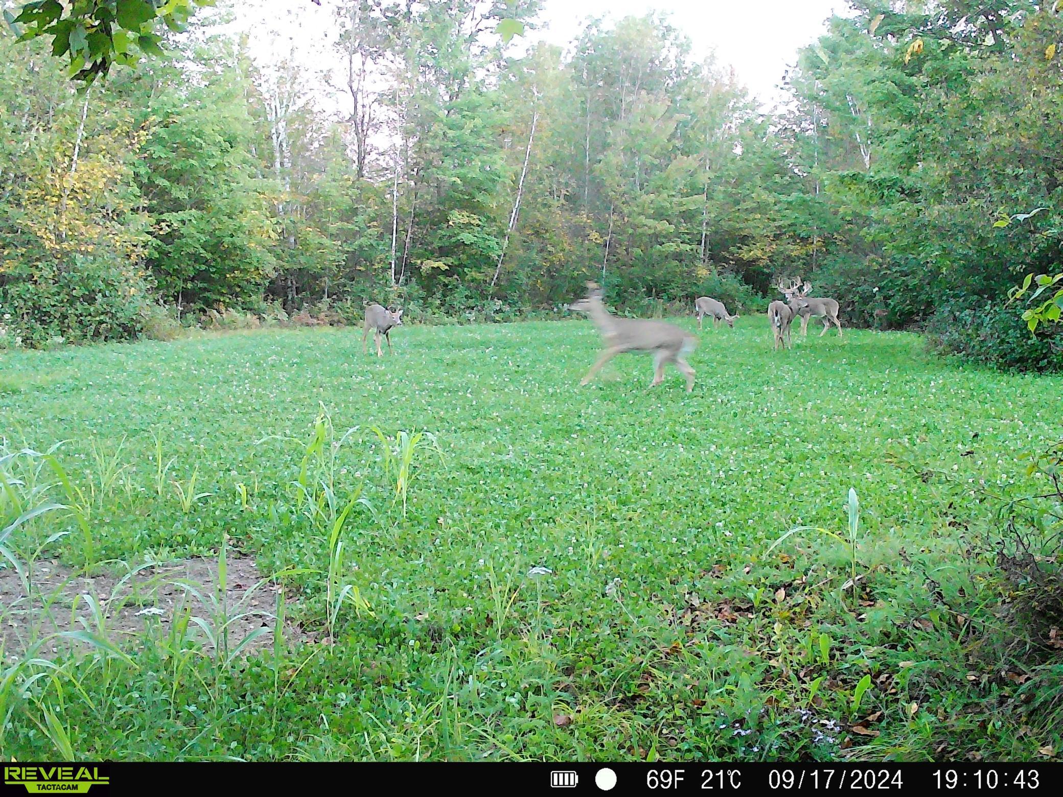 5897 State Highway 80 Property Photo 112