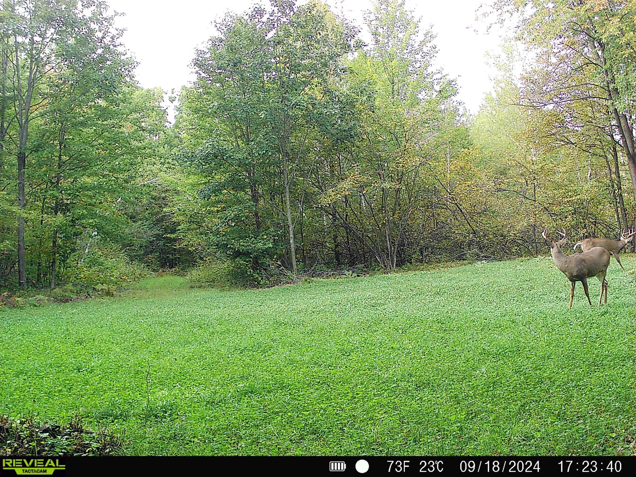 5897 State Highway 80 Property Photo 115