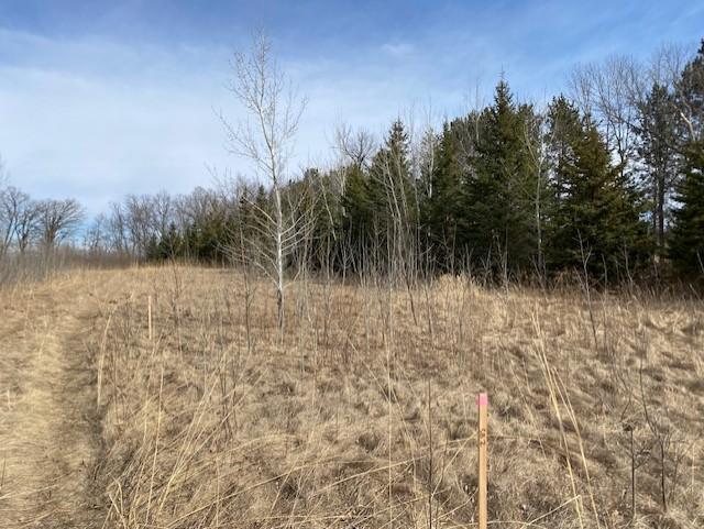 Xxx2 Csah 39 Property Photo 30