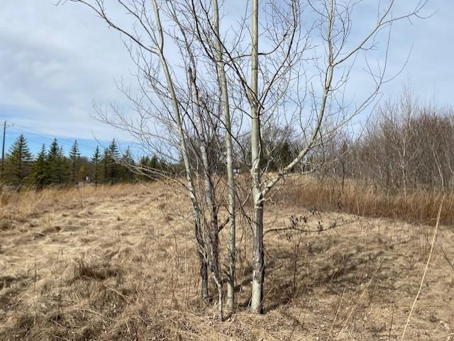 Xxx2 Csah 39 Property Photo 32