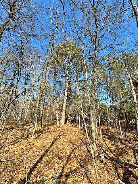 Xxx Akerson Rd Property Photo 6