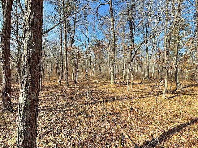 Xxx Akerson Rd Property Photo 7