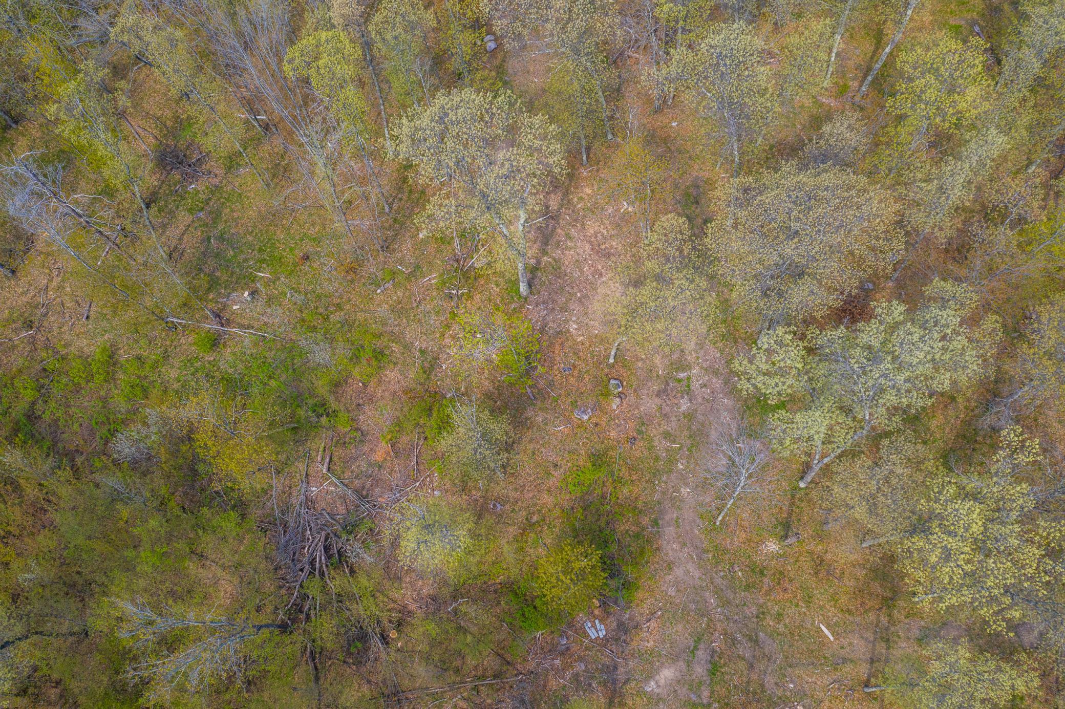Xxx Akerson Rd Property Photo 9