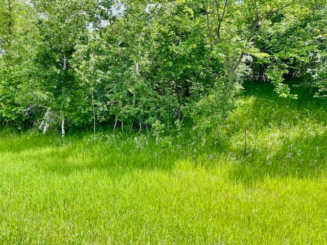 T134-r37 Sec.30 / Hwy 67 Hwy 67 Property Photo 11