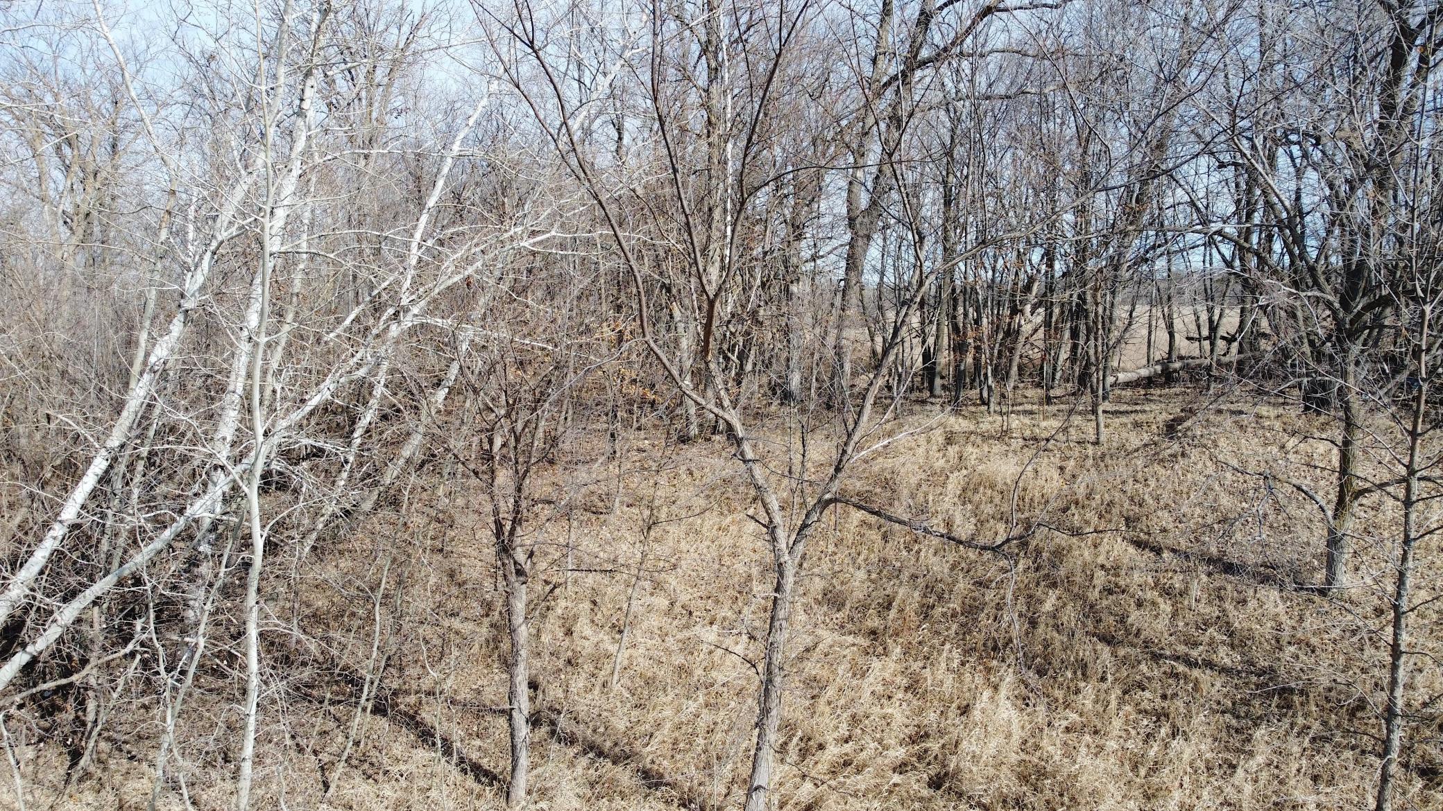 T134-r37 Sec.30 / Hwy 67 Hwy 67 Property Photo 17