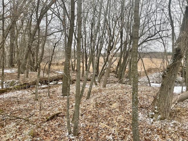 T134-r37 Sec.30 / Hwy 67 Hwy 67 Property Photo 19