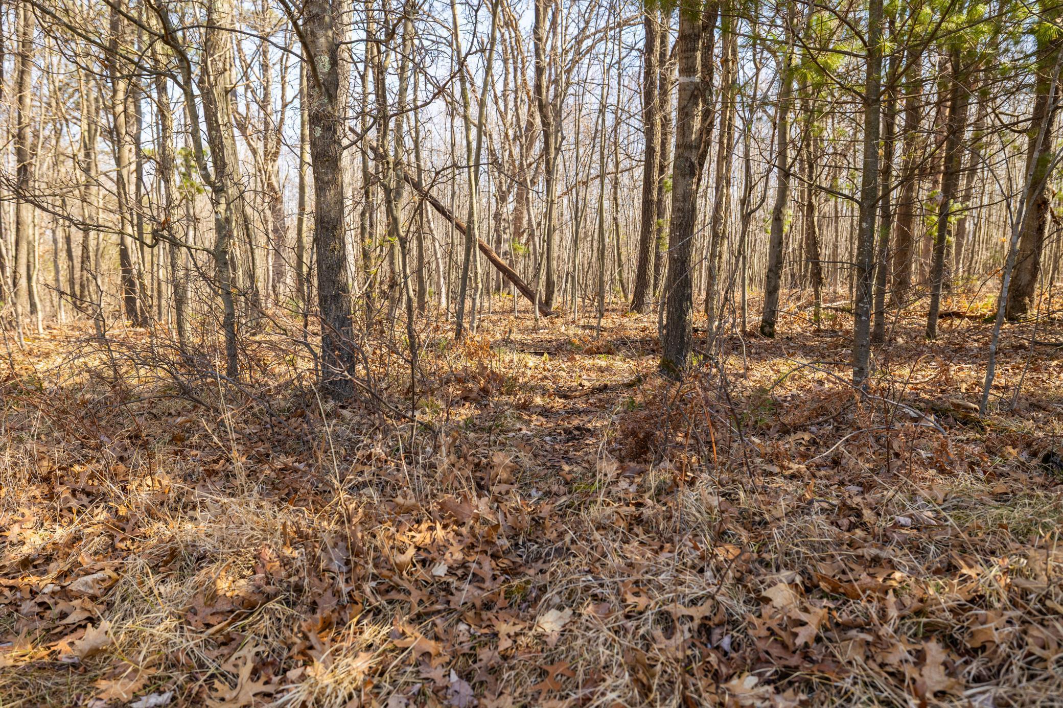 000 Robin Avenue Property Photo 35