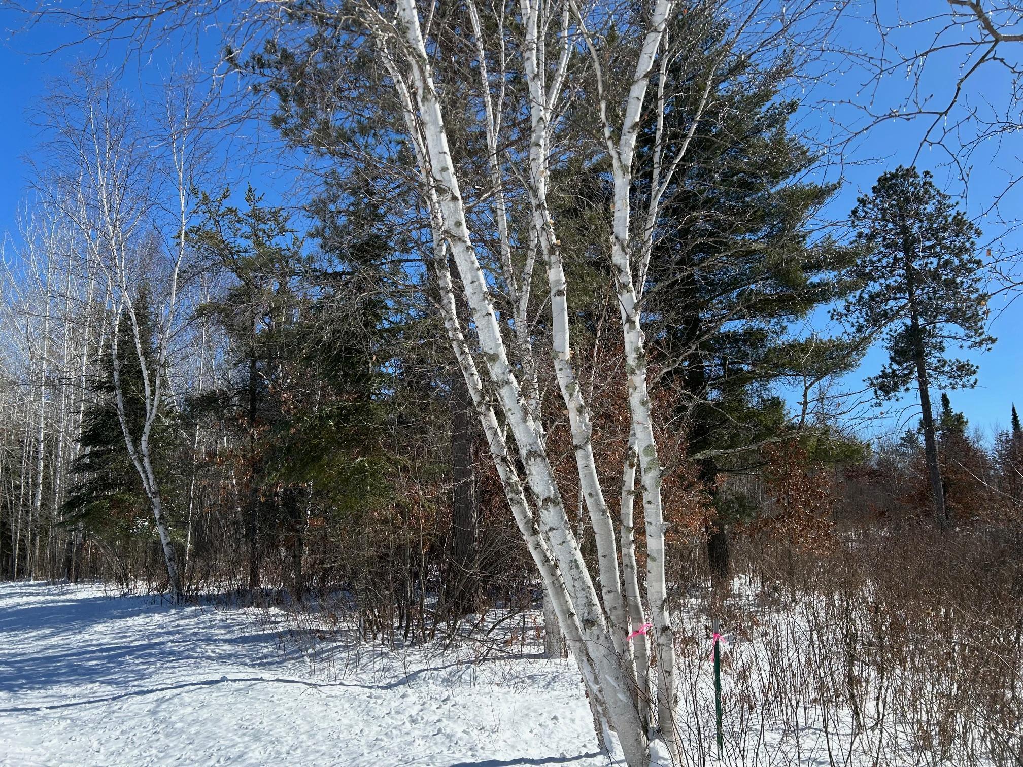 Tbd 36th Street Property Photo 3