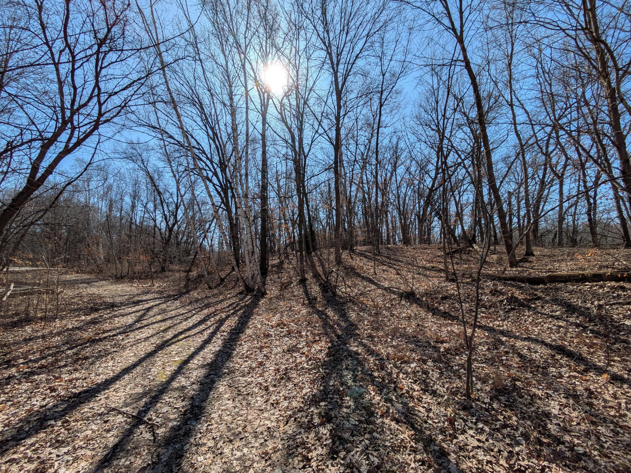Xxx Red Fox Trail Property Photo 1