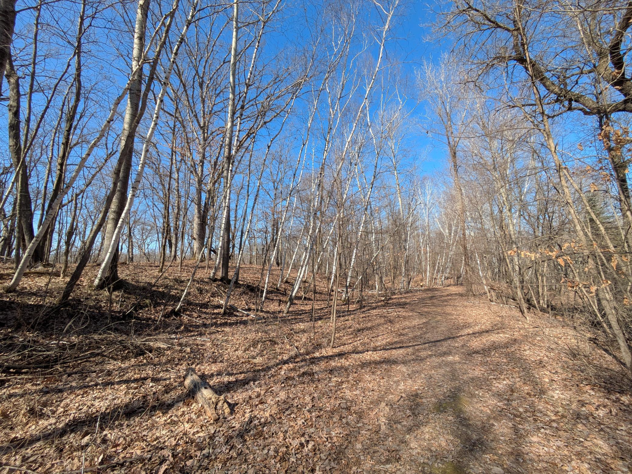 Xxx Red Fox Trail Property Photo 4