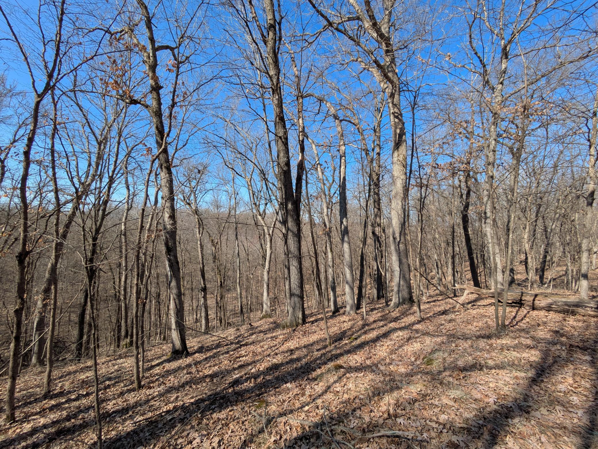 Xxx Red Fox Trail Property Photo 5