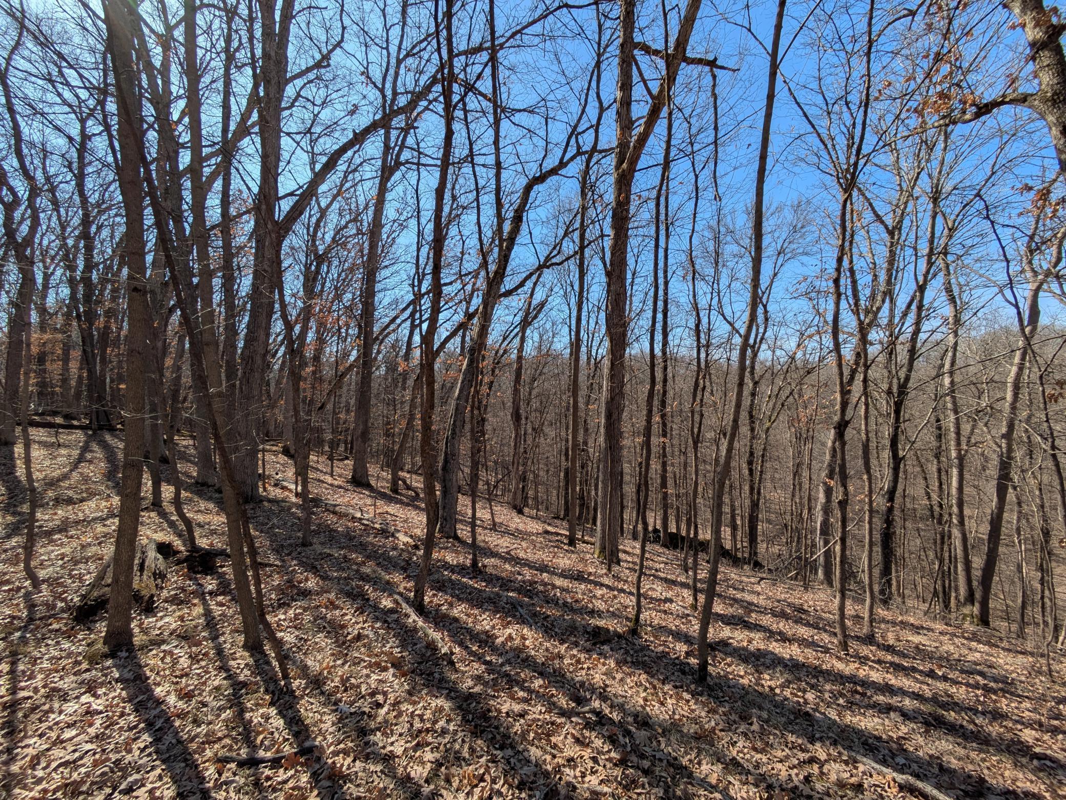 Xxx Red Fox Trail Property Photo 6